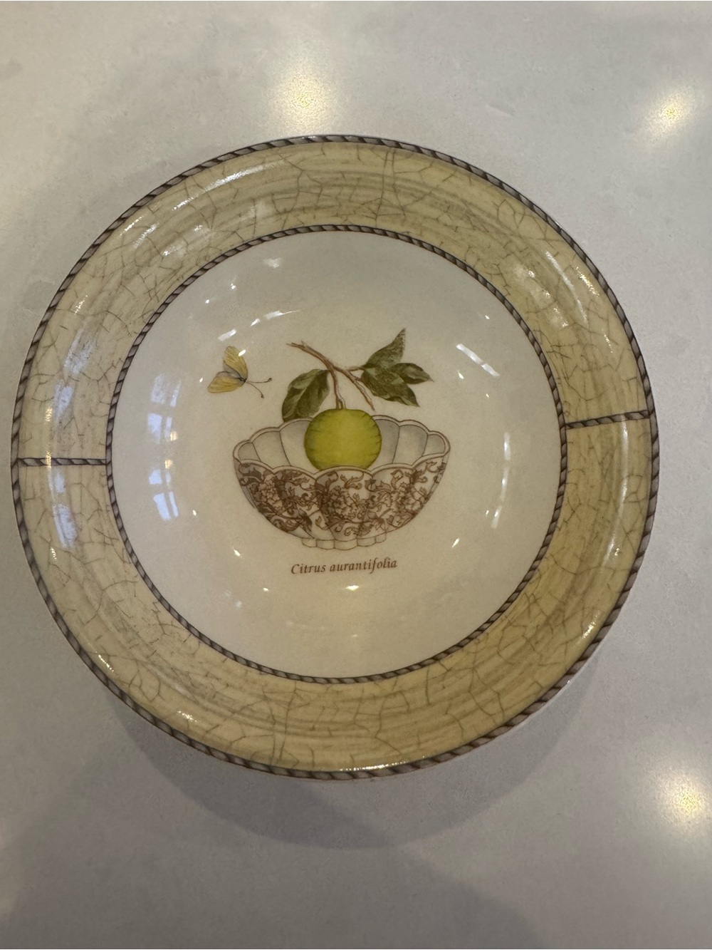 Wedgwood Cream and Green Citrus Salad Plate